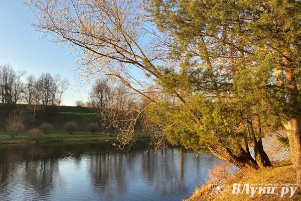 Прогноз погоды в Великих Луках на 3 октября