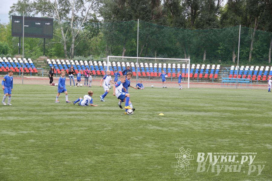 В Великих Луках состоялся Всероссийский турнир «Загрузи себя футболом» (фото)