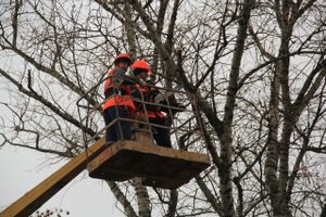 Возле железнодорожной больницы облагораживают сквер (ФОТО)