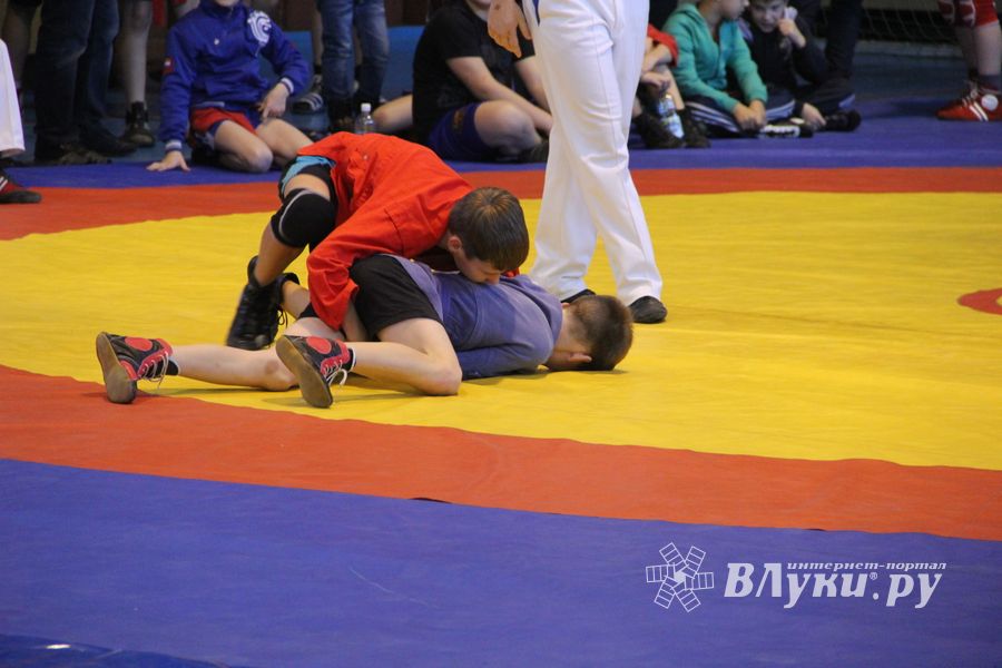 В Великих Луках прошел турнир по самбо "Память" (фото)