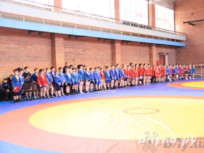 состоялось Открытое первенство города Великие Луки по борьбе самбо