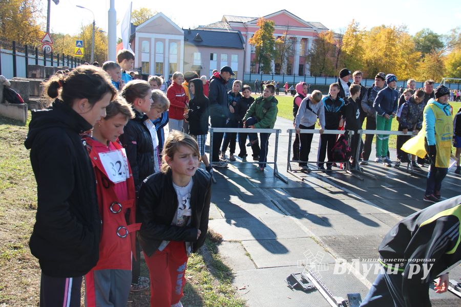 «Шиповка юных» среди великолукских школьников (фото)