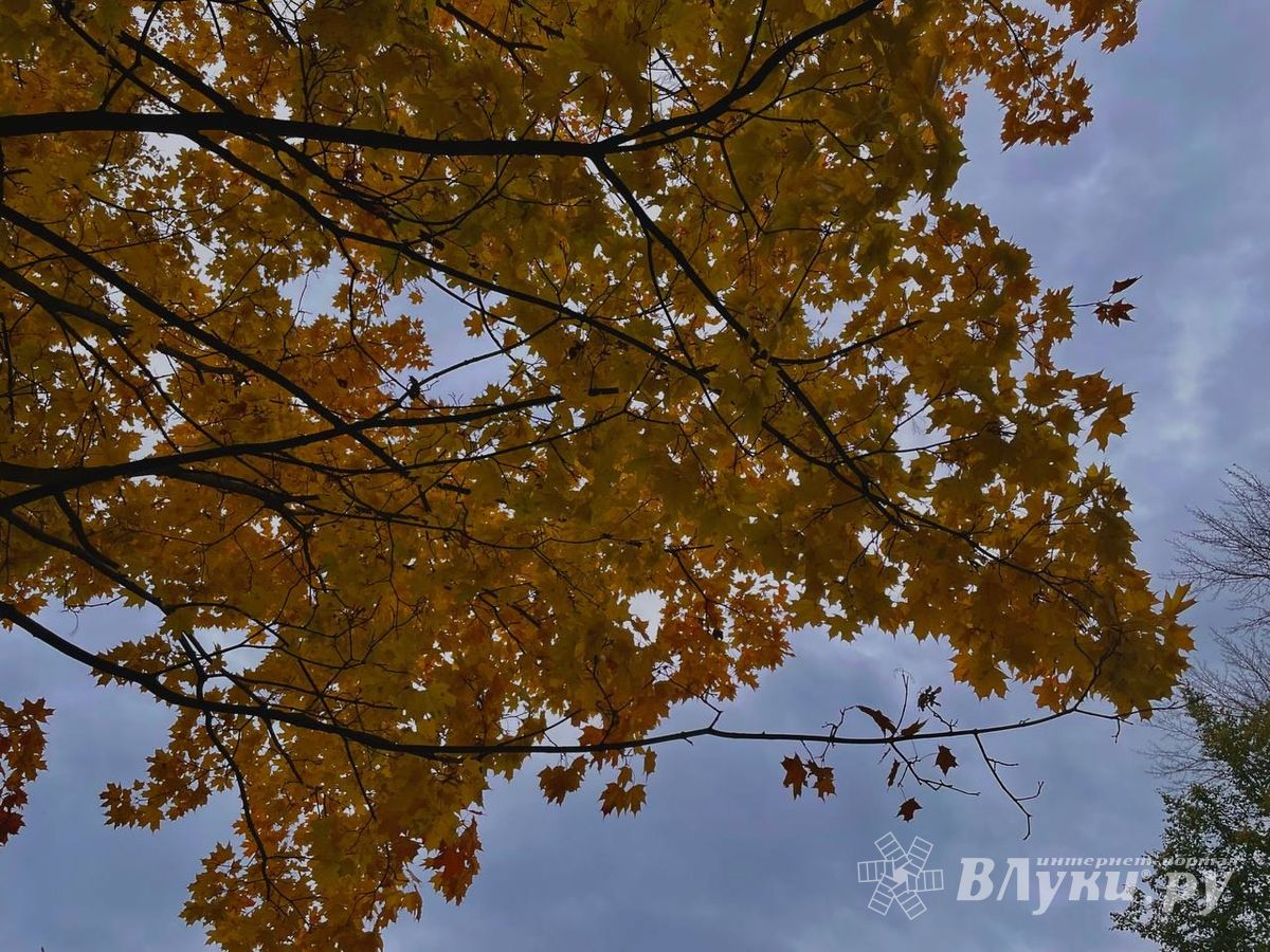 Прогноз погоды в Великих Луках на 30 сентября
