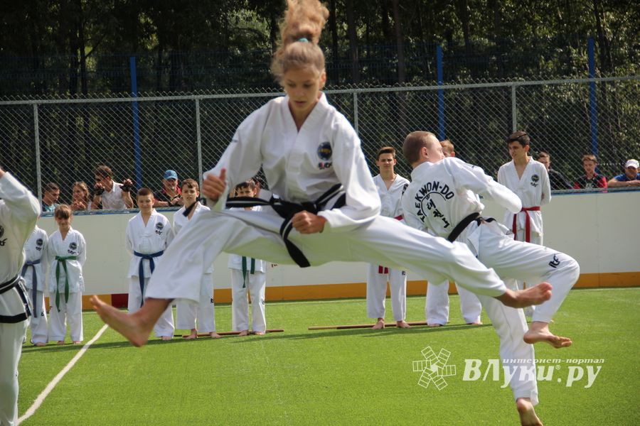 День спорта в День города: сила, мужество и грация (ФОТО)