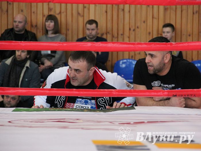 Открытый кубок по смешанному боевому единоборству ММА прошел в Великих Луках (ФОТО)