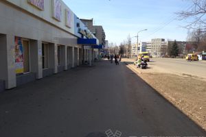 Весне дорогу!