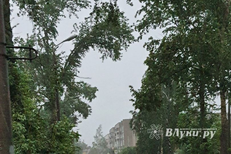 Весь ужас вчерашнего урагана в Великих Луках и районе (ФОТО, ВИДЕО)