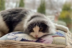 ©ВЛуки.ру