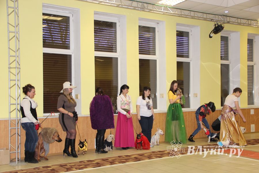 Всероссийская выставка собак в Великих Луках (фото)