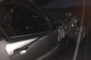 В Великих Луках неизвестный водитель врезался в дерево (ФОТО)