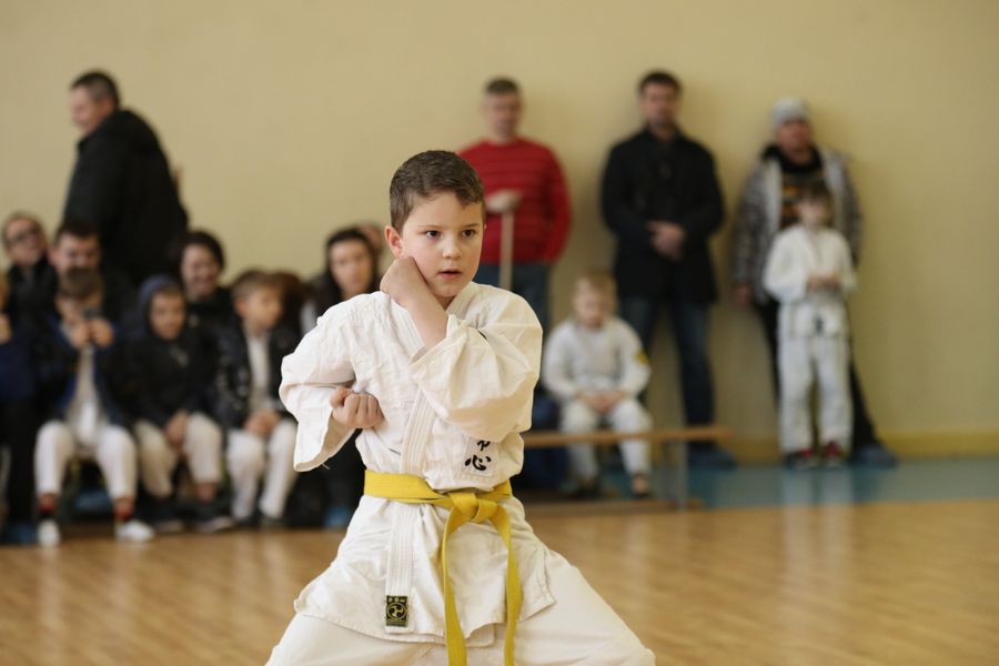 В Великих Луках прошло Первенство города по ВБЕ «КОБУДО» (ФОТО)