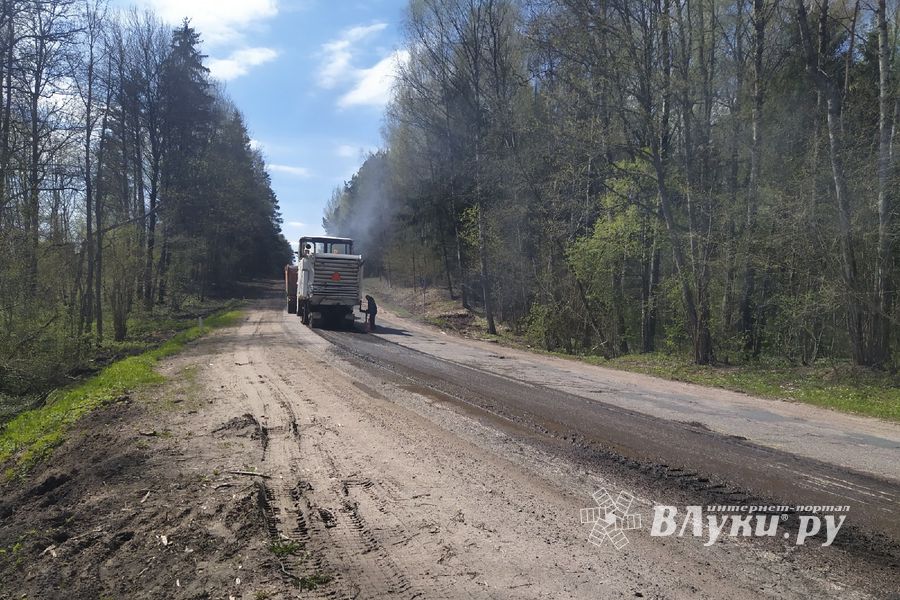 На дороге Великие Луки – Сиверст идёт ремонт дороги (ФОТО)