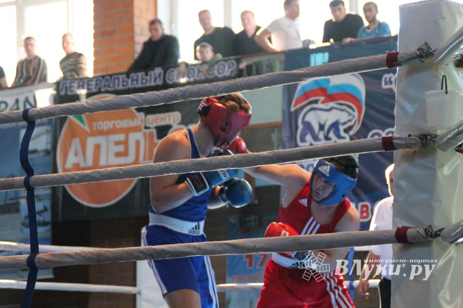 XV Международный турнир по боксу памяти Заслуженного работника физической культуры России Евгения Афанасьевича Клевцова