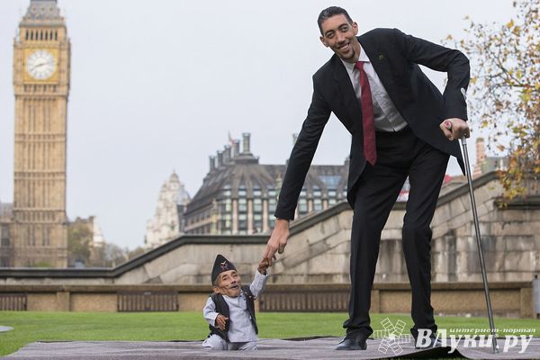 Самый высокий человек в мире встретился с самым маленьким (фото)