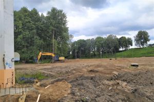 В парке «Петровском» появляются пешеходные дорожки (ФОТО)