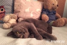 В европейскую часть страны вернутся морозы