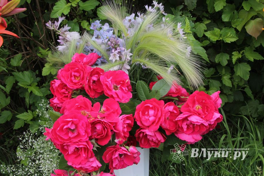 «Парад детских колясок» в День семьи, любви и верности (ФОТО)