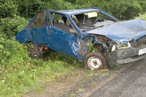 В Куньинском районе водитель улетел в кювет и погиб