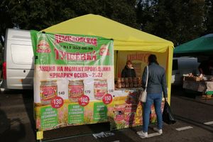 Фото: ВЛуки.ру