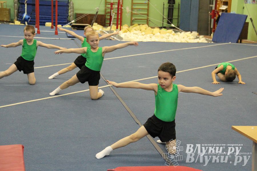 В Великих Луках состоялось Первенство по командной гимнастике (фото)
