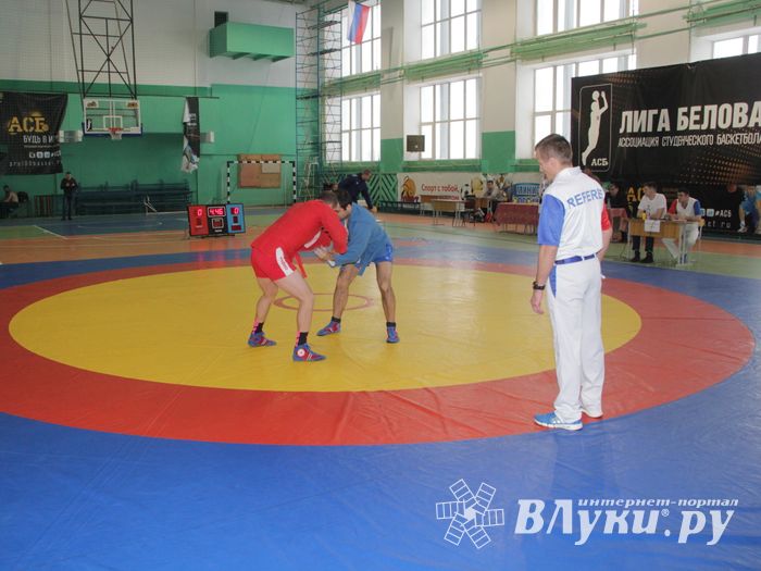 В Великих Луках прошел турнир по самбо, посвященный подвигу Александра Матросова (ФОТО)