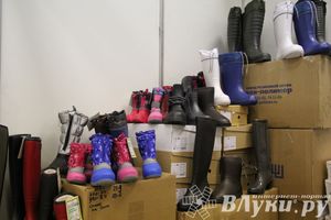 Универсальная выставка проходит в Великих Луках (фото)