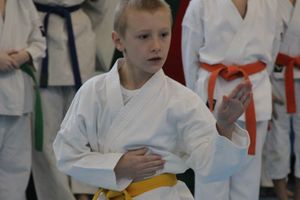 В Великих Луках прошел Открытый чемпионат Псковской области по каратэ