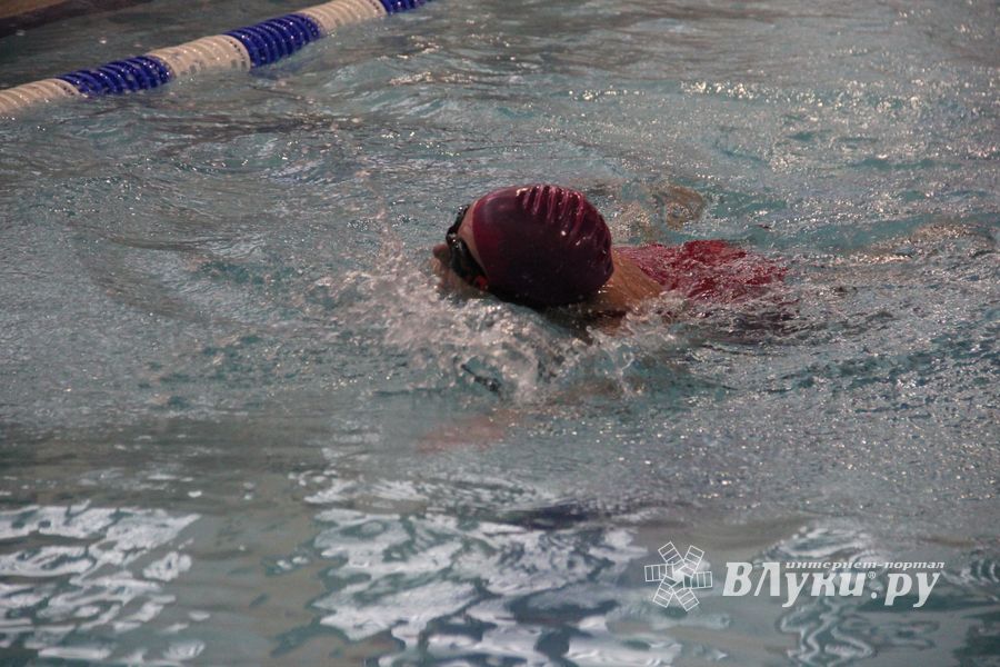 В Великих Луках прошло Первенство города по плаванию (ФОТО)