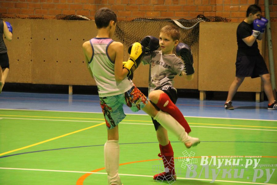 В Великих Луках прошел мастер-класс по кикбоксингу (фото)