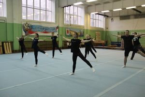 В Великих Луках проходят соревнования по гимнастике (ФОТО)