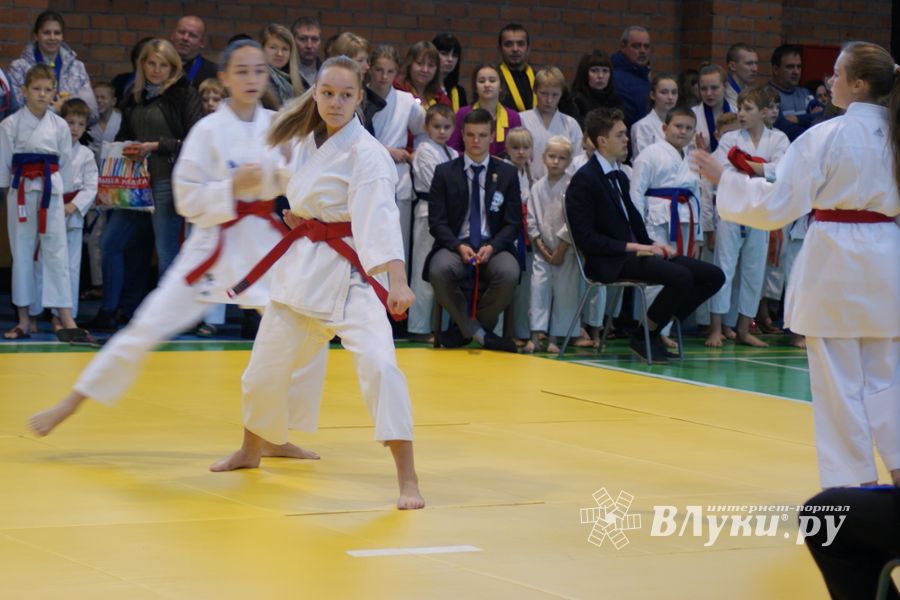 В Великих Луках прошли соревнования по каратэ (ФОТО)