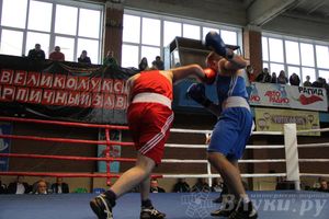 16-й Международный турнир по боксу (фото)