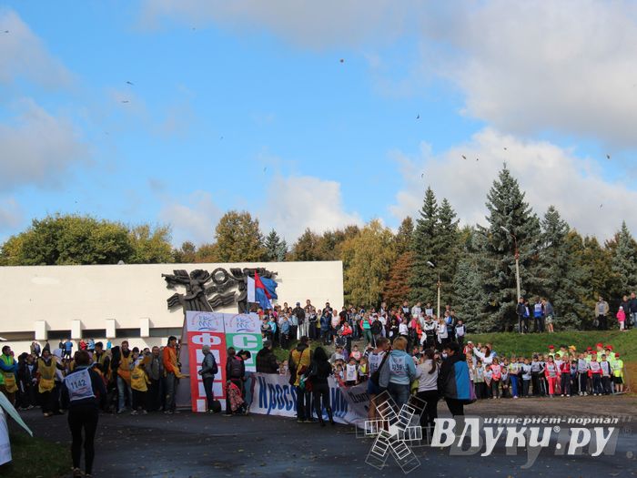 Кросс нации