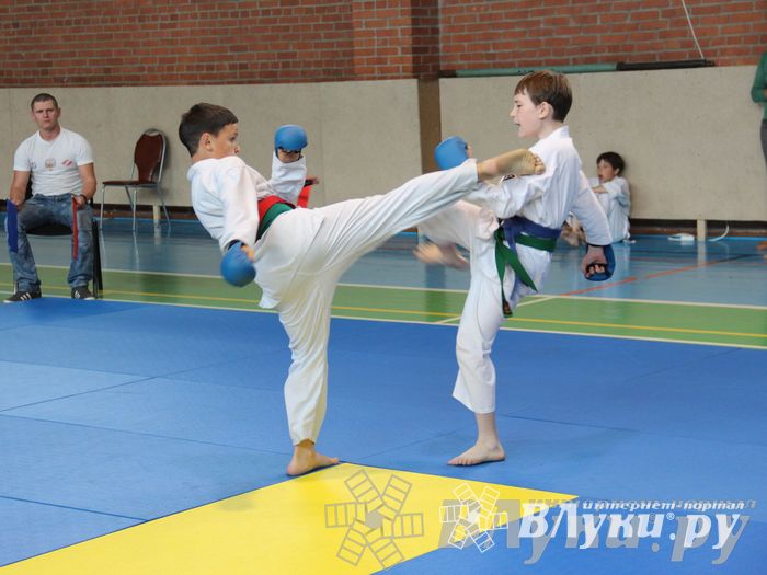 Турнир по каратэ «Неприкосновенный запас — дети Отчизны»
