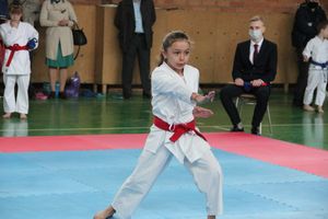 Открытый Кубок города Великие Луки по каратэ WKF (ФОТО)