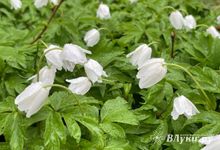 До возвращения тепла осталось совсем недолго