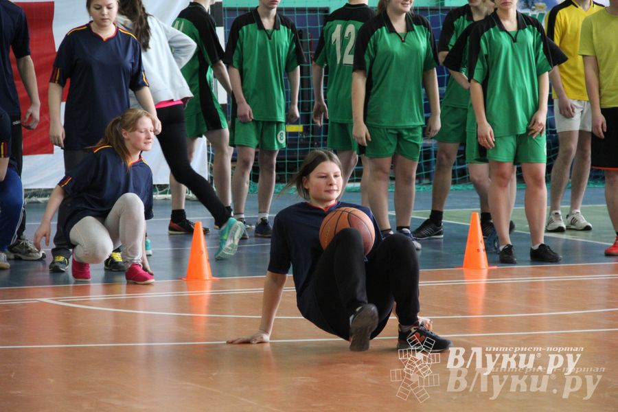 В Великих Луках прошли соревнования на Кубок Красного Креста