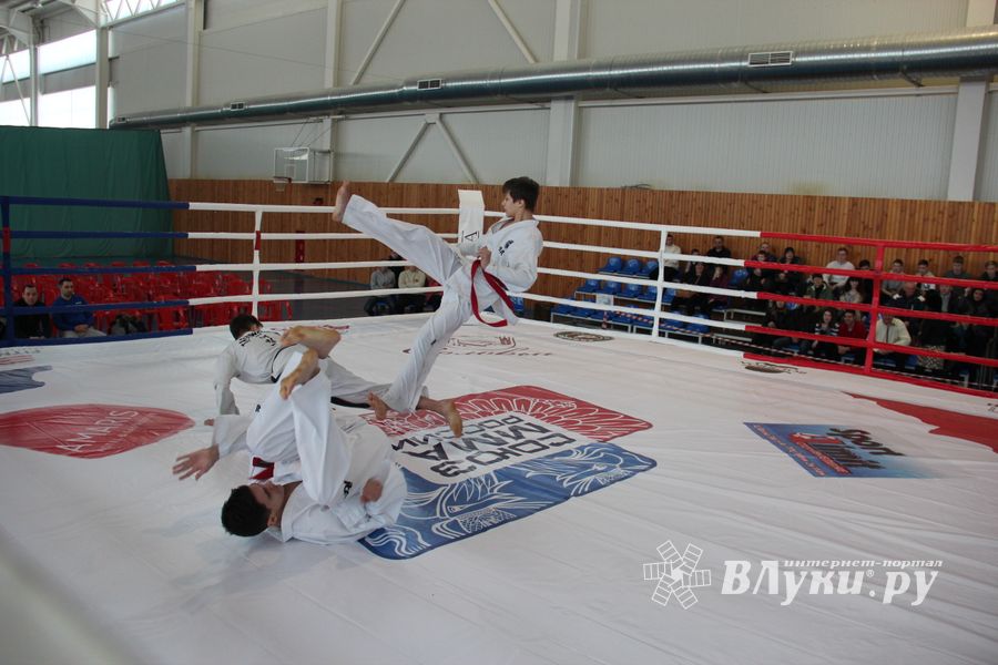 В Великих Луках проходит открытый кубок по смешанному боевому единоборству ММА (ФОТО) (12+)