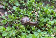 Прогноз погоды на 14 мая в Великих Луках