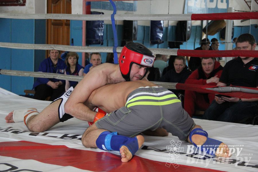 В Великих Луках прошел Чемпионат области по смешанному боевому единоборству (фото)