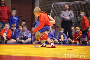 Великолучане стали первыми в общекомандном зачете турнира по самбо «Память»