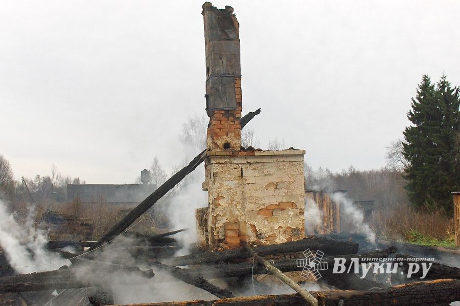 Двое погибли на пожаре в Псковской области (фото)