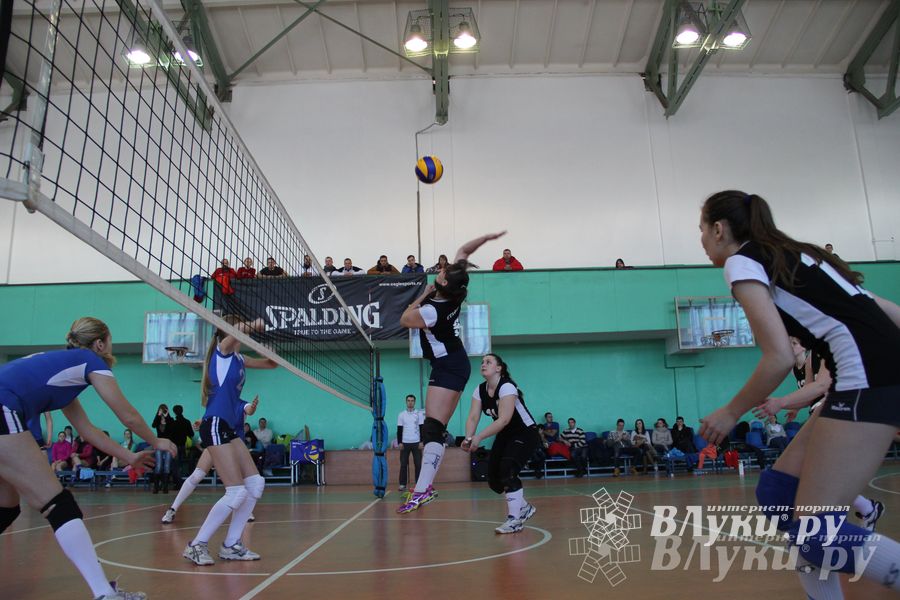 В Великих Луках прошли международные соревнования по волейболу (фото)