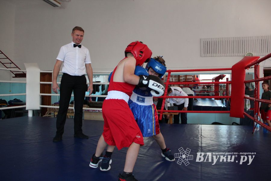 Фестиваль боевых искусств прошел в Великих Луках (ФОТО)