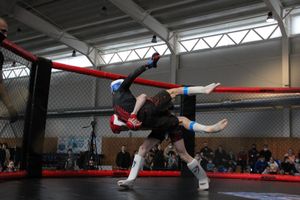 В Великих Луках прошел кубок по смешанному боевому единоборству (ФОТО)