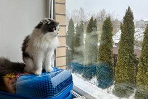 © ВЛуки.ру