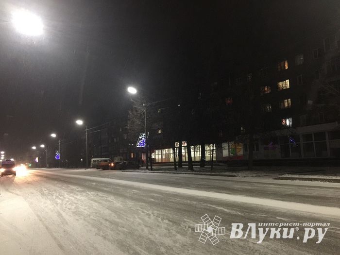 Великолукских белок не выдерживают уличные столбы (ФОТО)