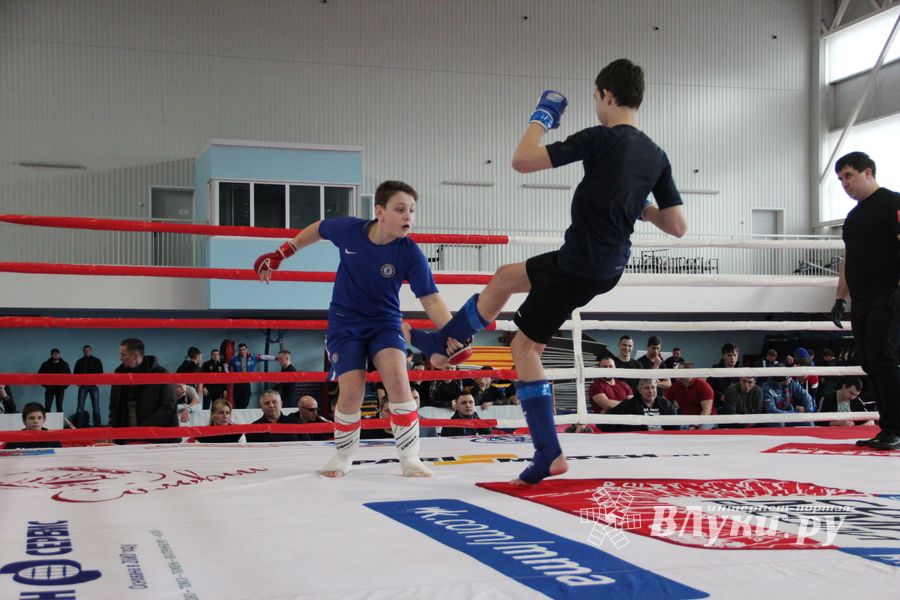 Открытый кубок по смешанному боевому единоборству ММА прошел в Великих Луках (ФОТО)