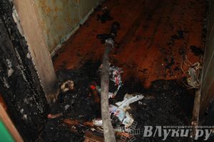 В Великих Луках на проспекте Гагарина загорелась квартира (фото)