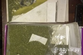 В Псковской области у местной банды полиция изъяла марихуану, оружие и муляж гранаты (ФОТО)